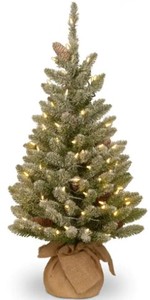 lot 30 image: National Tree Co. 36 in. Snowy Concolor Fir Tree with Battery Operated LED Lights, SR1-328-30-B1 - SOLD AS IS