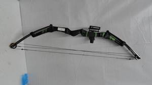 Compound Bow