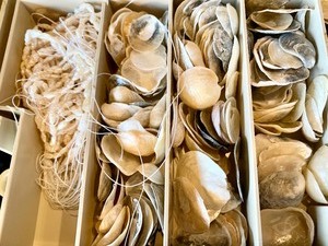 Case FULL of Great Jewelry Making Supplies &amp Materials - Assorted Beads and Shells