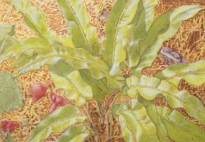 lot 41 image: Ronald Bateman Shiny Fern Hand-colored Artist Proof Silkscreen