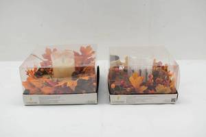 lot 205 image: 2 Luminara Autumn Centerpieces w 4.5 Real Wax Flameless Candle