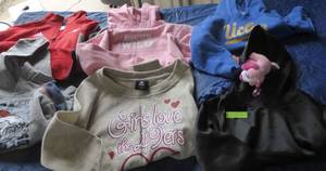lot 141 image: Group of 6 kids New sweatshirts and a pink dog