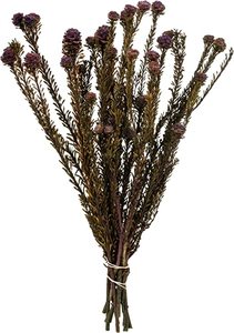 lot 120 image: Pallet of Mostly NEW Vickerman Items - 12-18 Tortum Bundles
