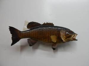 Bass Fish Mount