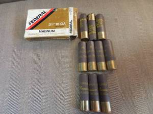 10 Assorted 10 Ga. Buck, BB, 4 Shot