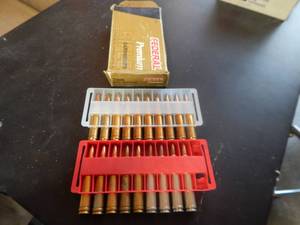 19 Rounds 7mm