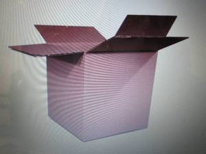 The Packaging Wholesalers 12 x 10 x...
