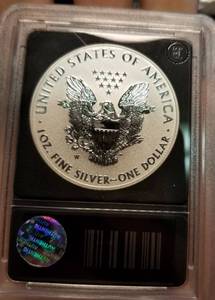 2013 REVERSE PROOF AMERICAN SILVER EAGLE BLACK SLAB
