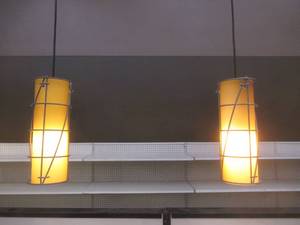 lot 253 image: (2) White Pendant Track Lights, 5 x 12