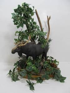 lot 88 image: Very Cool Large Nature Display wVintage BREYER Moose