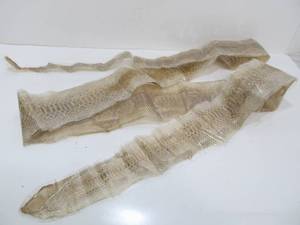lot 155 image: LARGE Genuine Snakeskin