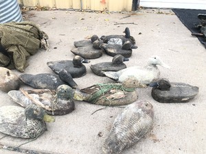 lot 272 image: Decoy Bag FULL of Vintage Wooden Duck Decoys