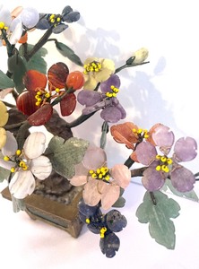 lot 60 image: Colorful Jade Tree