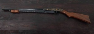 Daisy BB Gun