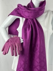 lot 221 image: Beautiful Coach Scarf and Leather Gloves
