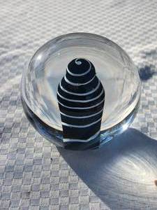 lot 81 image: Stunning Art Glass Paperweight by Afors