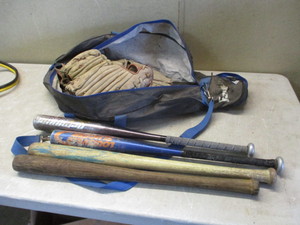 lot 93 image: Baseball Gloves and Bats