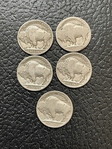5 Buffalo Nickels