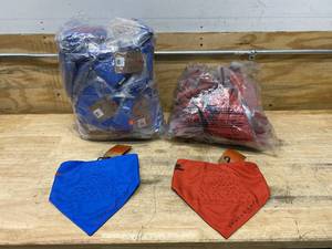 lot 78 image: Lot of SPACECRAFT Bandanas