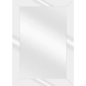 lot 186 image: Home Decorators Collection 24 in. W x 36 in. H Rectangular PS Framed Mirror on Mirror Wall Bathroom Vanity Mirror in Silver