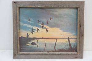 duck scene picture