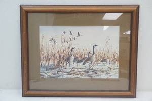 Killen goose print