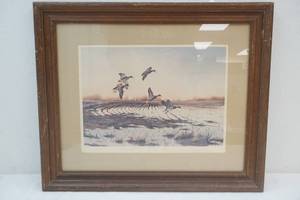 Killen duck print