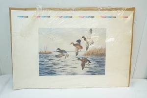 R mankiller duck print