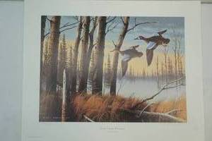 sorrels print
