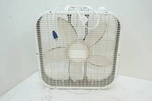 fan