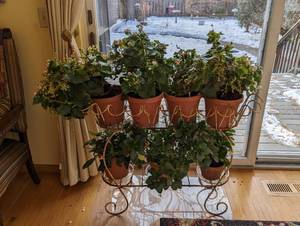 Whimsical Vintage Plant Stand and Plants