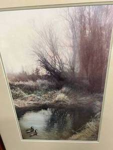 lot 19 image: Beautiful Waterfowl Loon Wildlife Print 32x24 Framed & Matted - Great Condition