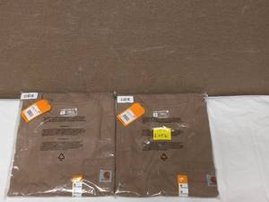 lot 6 image: (2) NEW CARHARTT X-LARGE SHORT SLEEVES T-SHIRT TAN