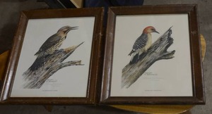 lot 273 image: SHERM PEHRSON RED BELLIED WOODPECKER & YELLOW SHAFTED FLICKER BOTH - 751000