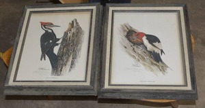 lot 274 image: SHERM PEHRSON RED HEADED WOODPECKER & PILEATED WOODPECKER BOTH - 751000