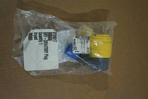 lot 107 image: Bryant 20A 125V Water Tight Locking Blade Ground Plug