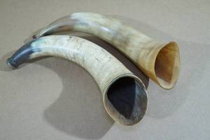 lot 211 image: 2 Powder Horns