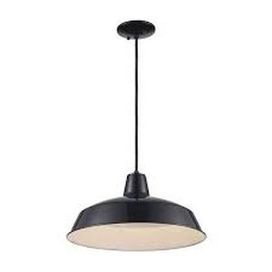 lot 203 image: Trans Globe Sherman Hanging Pendant Light