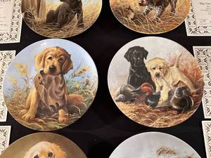 lot 161 image: Field Puppies Collectors Plates with COA