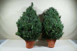 lot 116 image: 2 Wall Hanging Christmas Trees