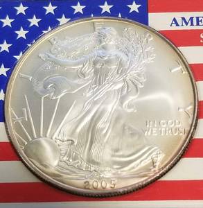 lot 66 image: 2005 AMERICAN SILVER EAGLE IN PLASTIC