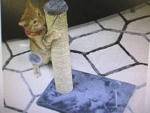 Cat Craft 20 Seagrass Scratching P...