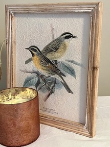 lot 313 image: Charming Bird Motif Home Decor Items