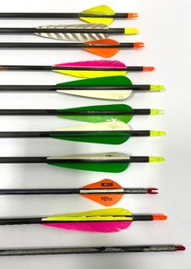 lot 256 image: Amazing Arrows