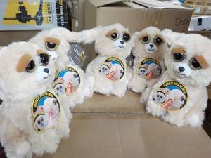 5 Feisty Dog Pets- squeeze the back...