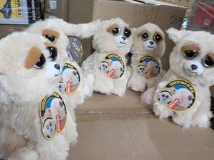 5 Feisty Dog Pets- squeeze the back...