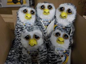 5 Feisty Owl Pets- squeeze the back...
