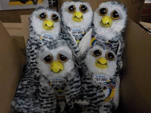 5 Feisty Owl Pets- squeeze the back...