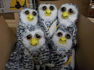 5 Feisty Owl Pets- squeeze the back...