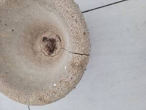 lot 67 image: Concrete Planter